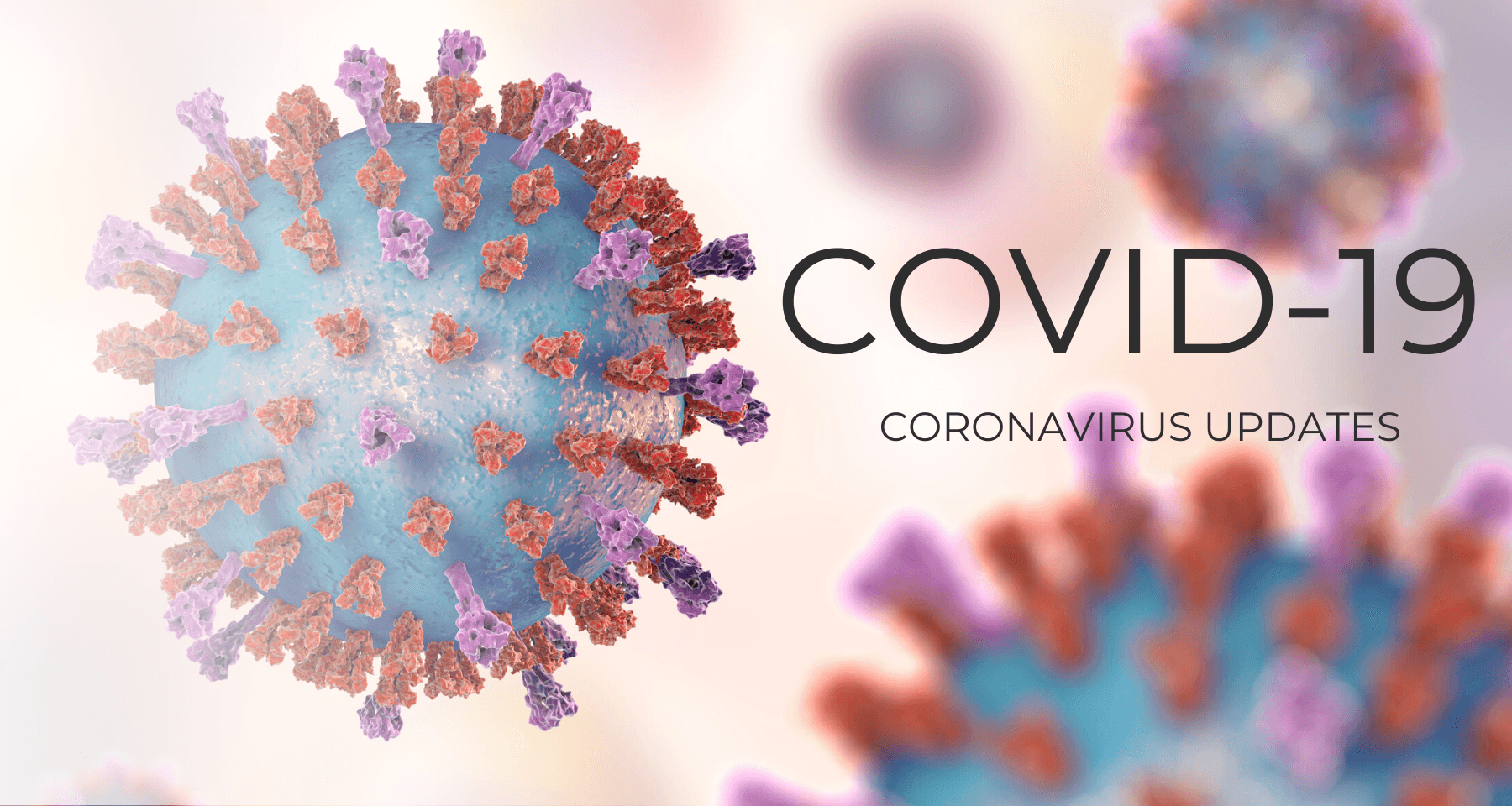 Care Indeed COVID-19 Updates banner image