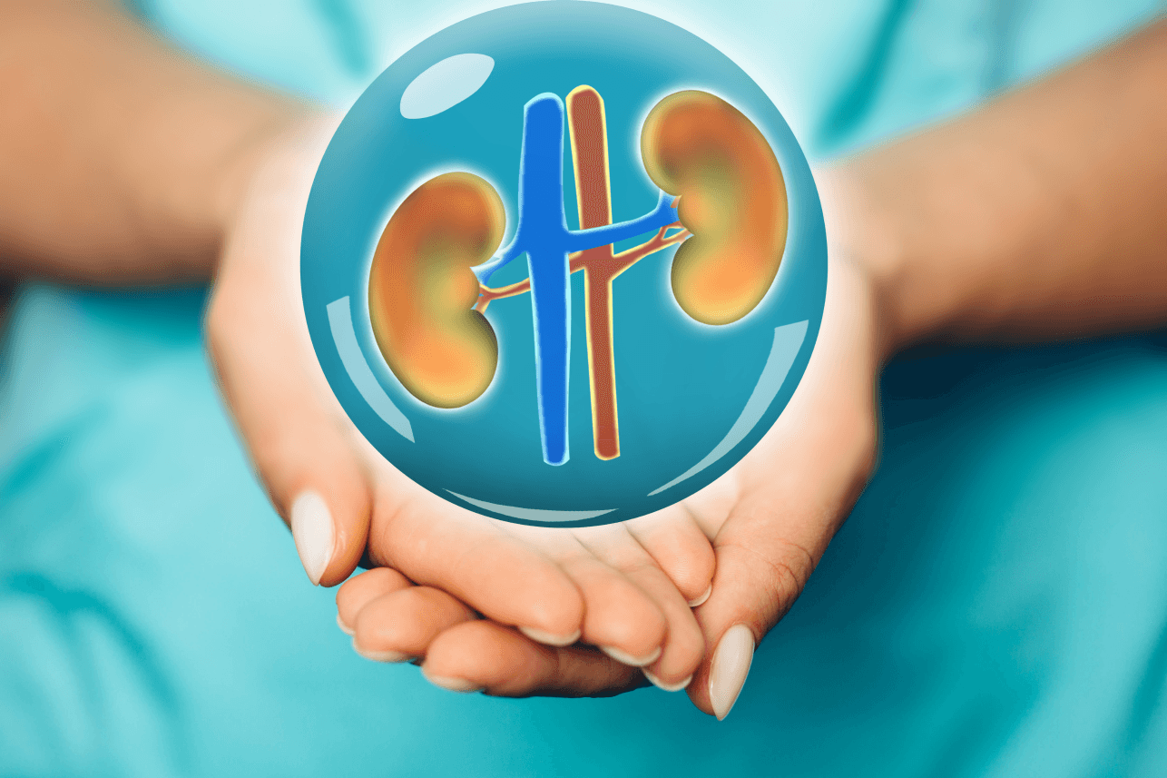 National Kidney Month banner image