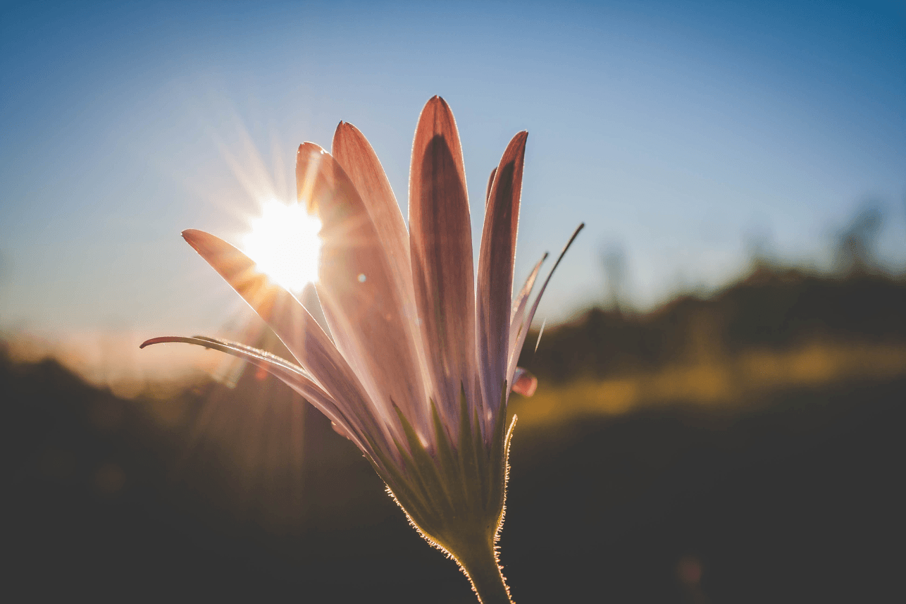  Trust the Magic of New Beginnings banner image